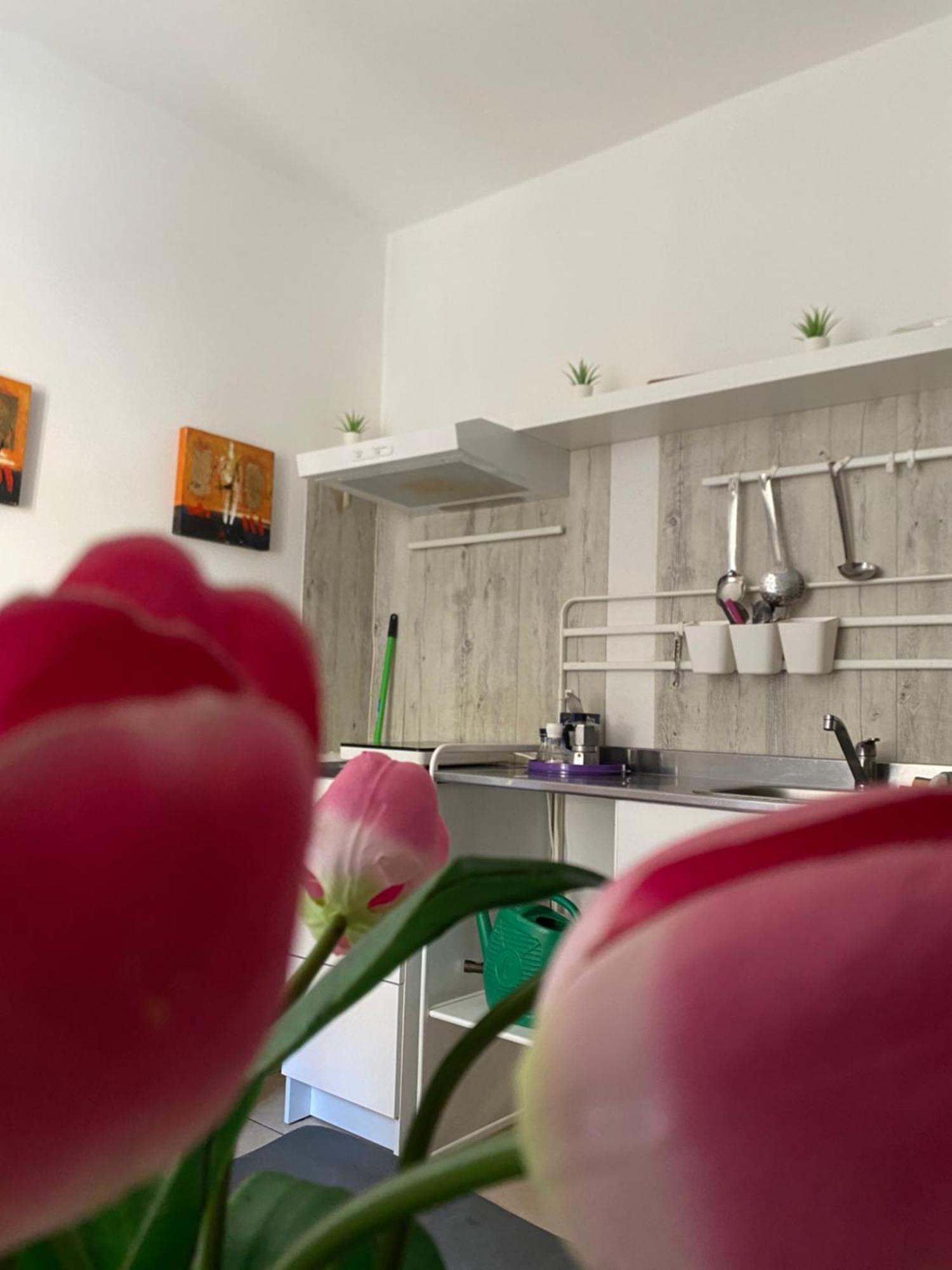 קלטג'ירונה B&B Regina Carolina מראה חיצוני תמונה
